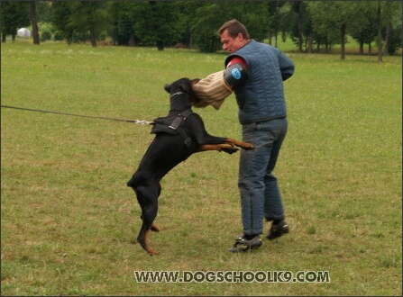 Training camp - Lukova 2007